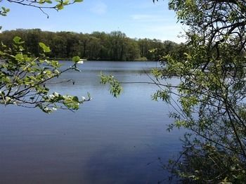 Cleveley Mere Luxury Waterside Lodges Scorton  Extérieur photo